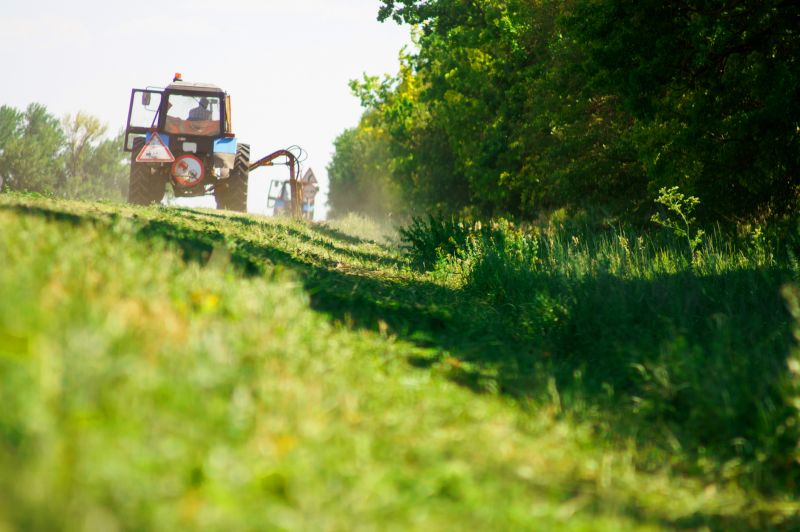 Acreage Clearing in Utah County, UT