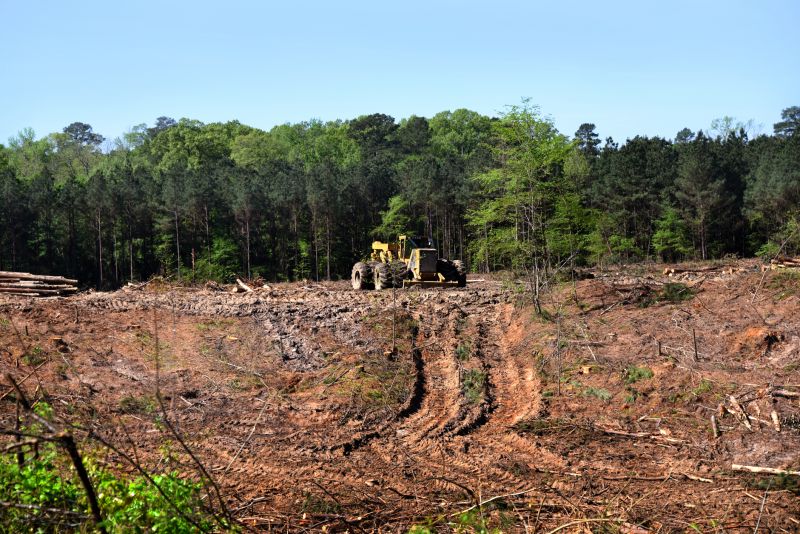 Farm Clearing in Cumming, GA