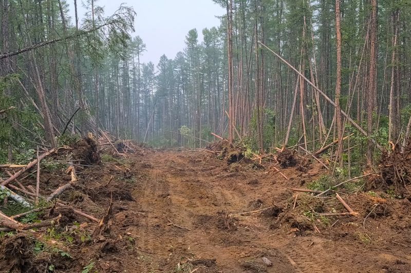 Land Clearing in Cumming, GA