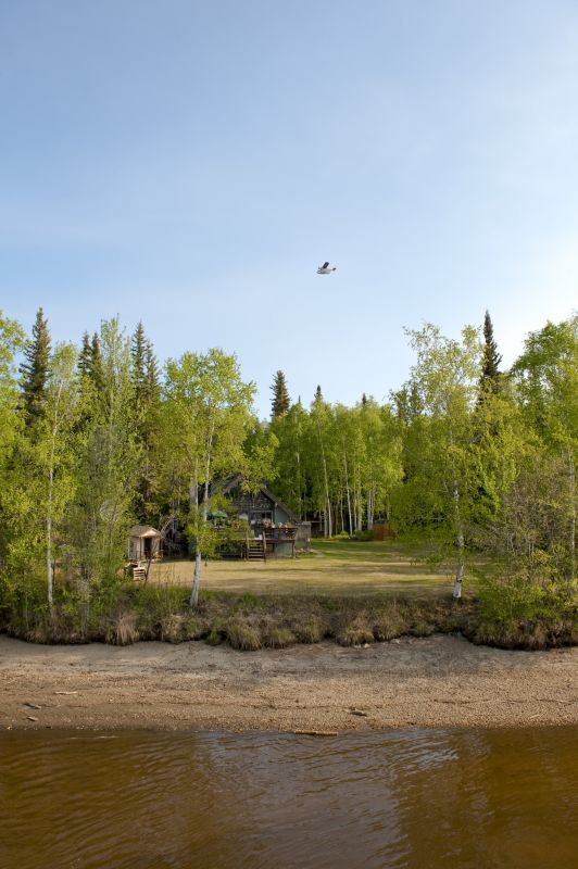 Property Line Clearing in Cumming, GA