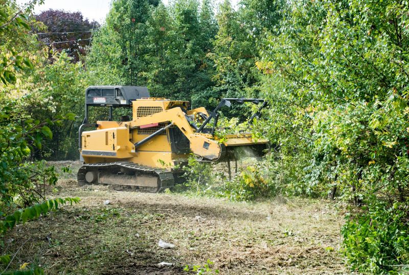 Slope Clearing in Houston, TX