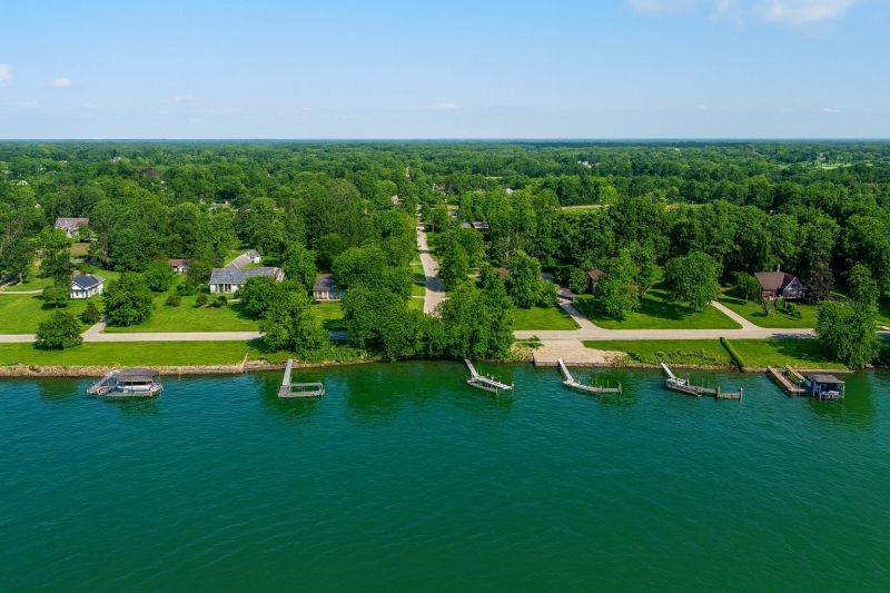 Waterfront Land Clearing