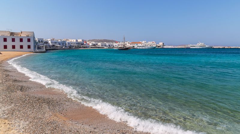 Finished Clearing Project